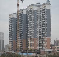 金鼎·国际花园2013年1月份实景图