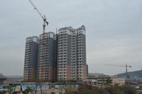 金鼎·国际花园2013年1月份实景图