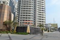 海岸国际实景图2013-1-26