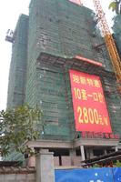 青尚年华2013年1月份实景图