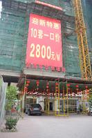 青尚年华2013年1月份实景图