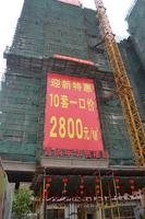 青尚年华2013年1月份实景图