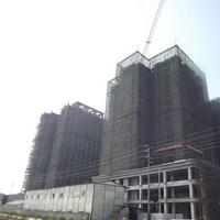 东方之珠花园实景图2013-1-26