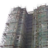 东方之珠花园实景图2013-1-26