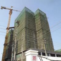 东方之珠花园实景图2013-1-26