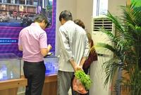 2013.05.18颐华居销售中心盛大开放