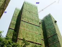 2013.10.26保利爱琴海实景图