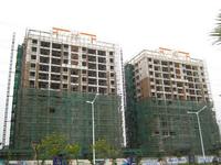 一品湾实景图2013-1-7