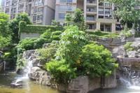 人和莱茵湖畔实景图(7.6)