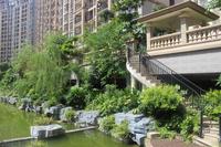 人和莱茵湖畔实景图(7.6)