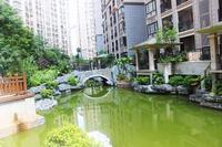 人和莱茵湖畔实景图(7.6)