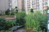 人和莱茵湖畔实景图(7.6)