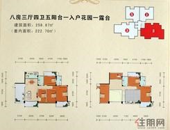 【2#、3#复式户型】8室3厅4卫1厨5阳台