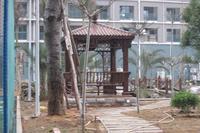 春天海景实景图2013-1-7 