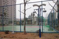 春天海景实景图2013-1-7 