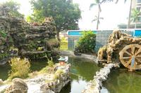 春天海景实景图2013-1-7