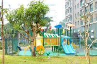 春天海景实景图2013-1-7