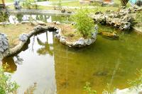 春天海景实景图2013-1-7