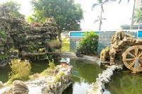 春天海景实景图2013-1-7