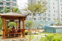 春天海景实景图2013-1-7