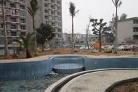 春天海景实景图2013-1-7