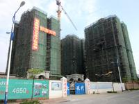 半岛水岸花园实景图2013-2-1 