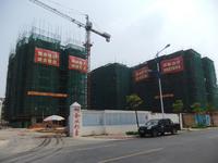 半岛水岸花园实景图2013-2-1 