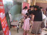 凤岭名筑购房节活动(4.20)