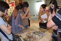 凤岭名筑购房节活动(4.20)