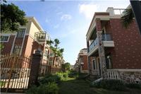 二期别墅实景图