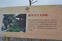 广告欣赏