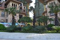 金域熙城 实景图 2013.8.29