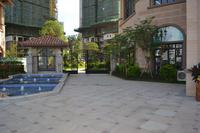 金域熙城 实景图 2013.8.29