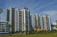 假日海岸 实景图 2013.8.29