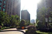 安得国际华城2013.8.28实景图