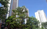 辉达山水豪庭2013.8.28实景图