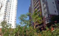辉达山水豪庭2013.8.28实景图