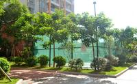 辉达山水豪庭2013.8.28实景图