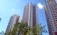 辉达山水豪庭2013.8.28实景图