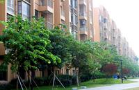 2013.10.15大商汇国际住区洋房实景图