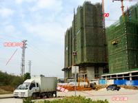 2013.10.31盛禾佳园实景图