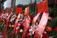 9.17巨星国际售楼部开放