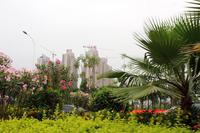 碧水天和实景图(5.22)