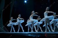 兴进实业《天鹅湖》芭蕾舞剧现场图