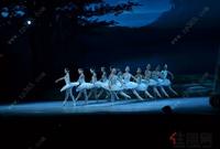 兴进实业《天鹅湖》芭蕾舞剧现场图