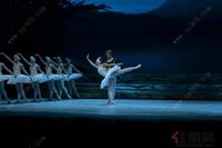 兴进实业《天鹅湖》芭蕾舞剧现场图