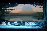 兴进实业《天鹅湖》芭蕾舞剧现场图