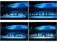 兴进实业《天鹅湖》芭蕾舞剧现场图