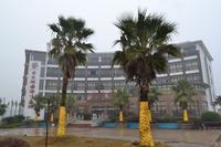 日月湖国际生态城实景图