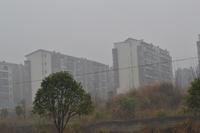 日月湖国际生态城实景图